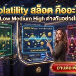 Volatility สล็อต คืออะไร Low Medium High ต่างกันอย่างไร